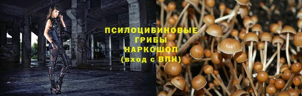 гидропоника Алексеевка